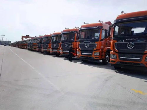 陜汽重卡 價值引領贏市場，品質營銷交付忙，助力國內貨物運輸代理蓬勃發展